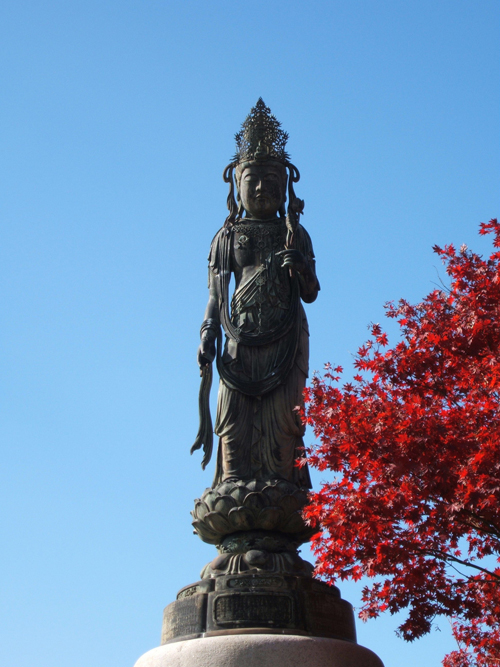 ��Z���ω���F����